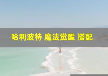 哈利波特 魔法觉醒 搭配